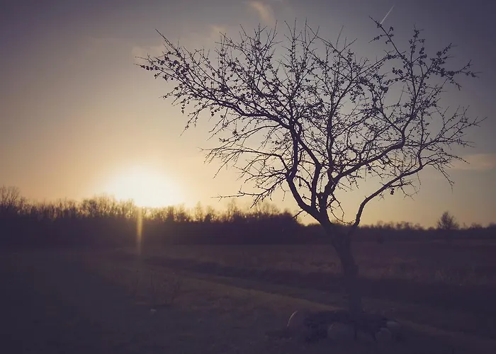 펜션 Rootsimaa House *